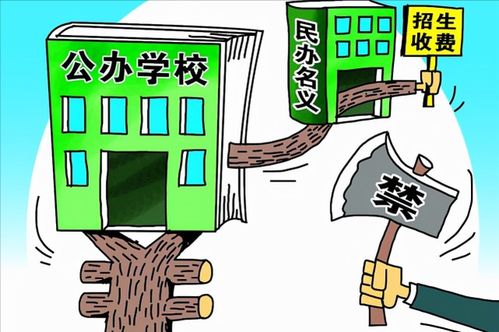 民轉(zhuǎn)公浪潮下的私立學(xué)校 招生盈利之路被斷，民辦高校教師何去何從？